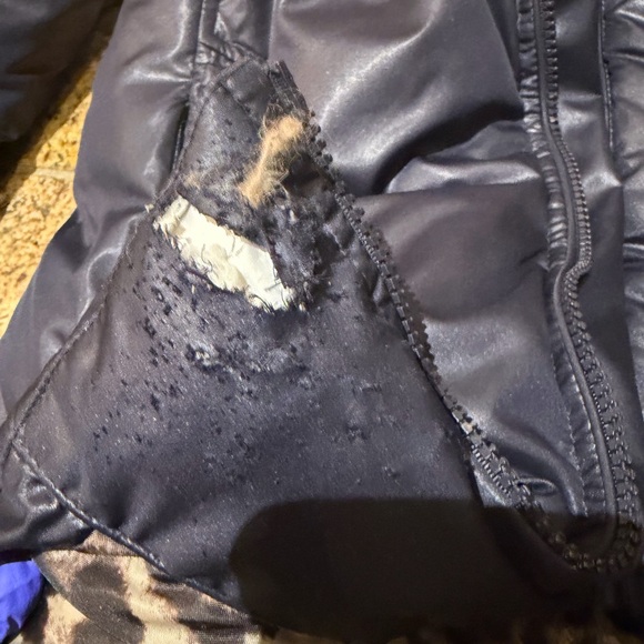 Navy Jacket with Leopard Print Lining - Picture 7 of 7